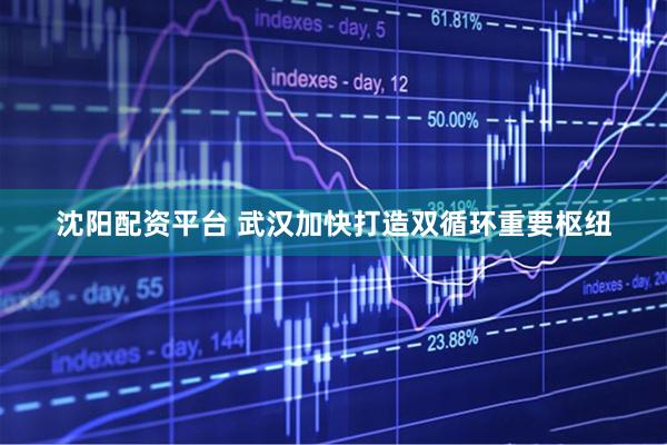 沈阳配资平台 武汉加快打造双循环重要枢纽